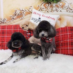 Meet your Posher, Edith